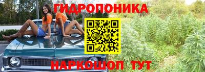 гашик Кунгур