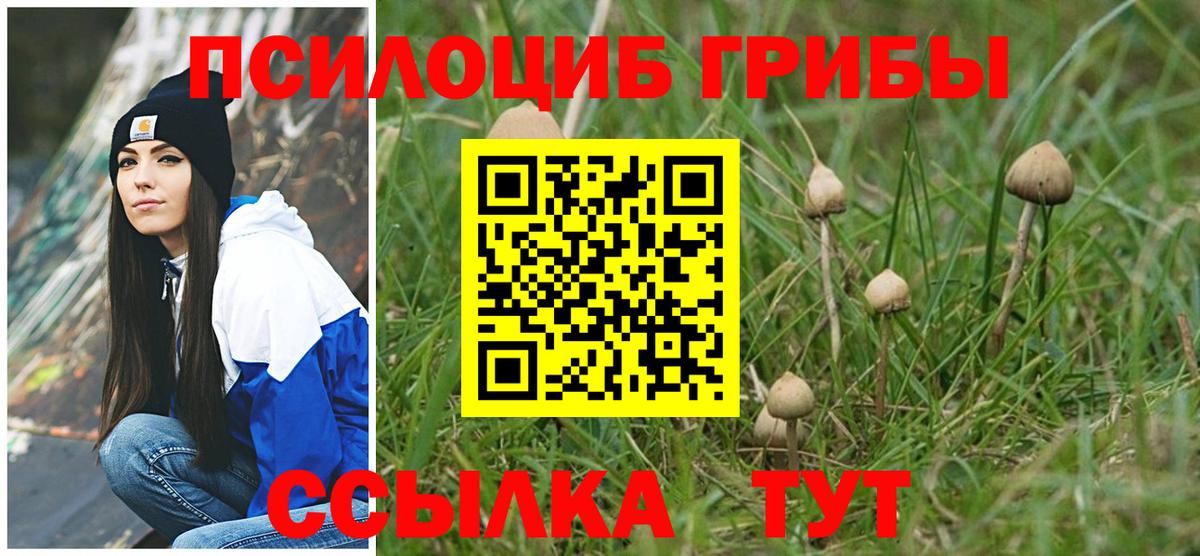 Ирбит  Псилоцибиновые грибы прущие грибы  Вход с VPN 