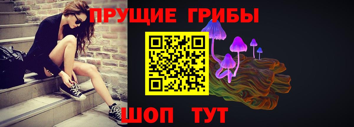 Галлюциногенные грибы Psilocybe Ирбит